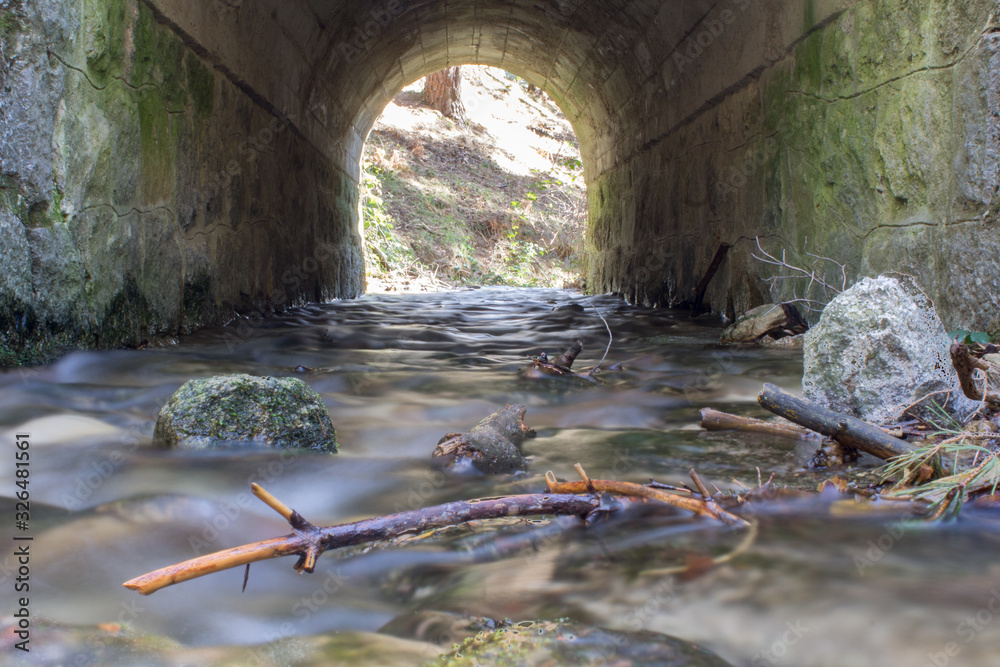 Fototapeta premium old stone bridge in the forest