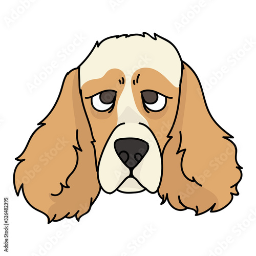 Cute cartoon cocker spaniel dog face vector clipart. Pedigree kennel doggie breed for dog lovers. Purebred domestic puppy for pet parlor illustration mascot. Isolated canine hunting breed. EPS 10. 