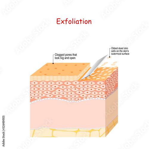 Exfoliation. Peeling or Physically scrubbing. Skin Care photo