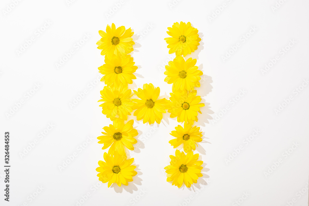 top view of yellow daisies arranged in letter H on white background