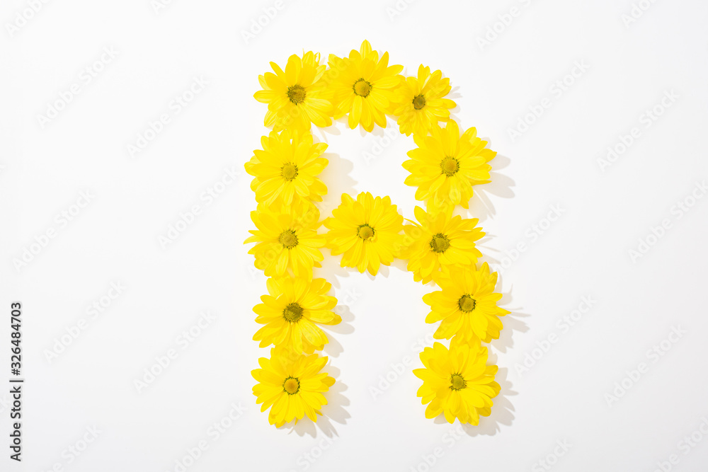top view of yellow daisies arranged in letter R on white background top view of yellow daisies arranged in letter R on white background