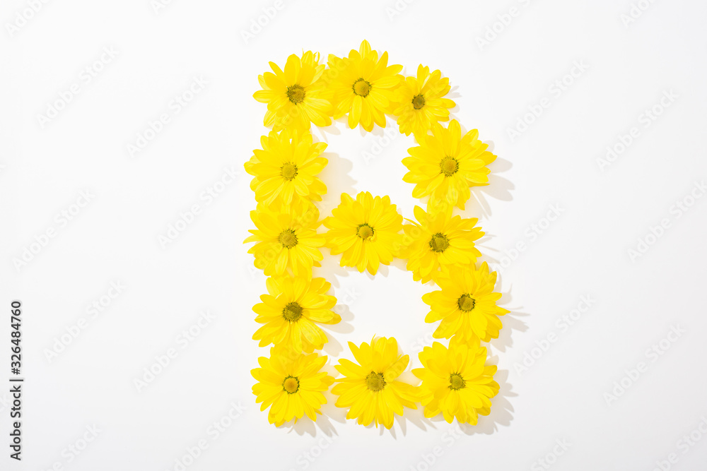 top view of yellow daisies arranged in letter B on white background