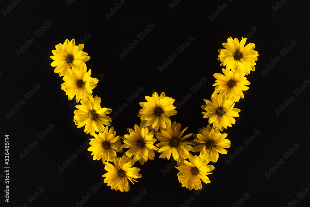 top view of yellow daisies arranged in letter W isolated on black