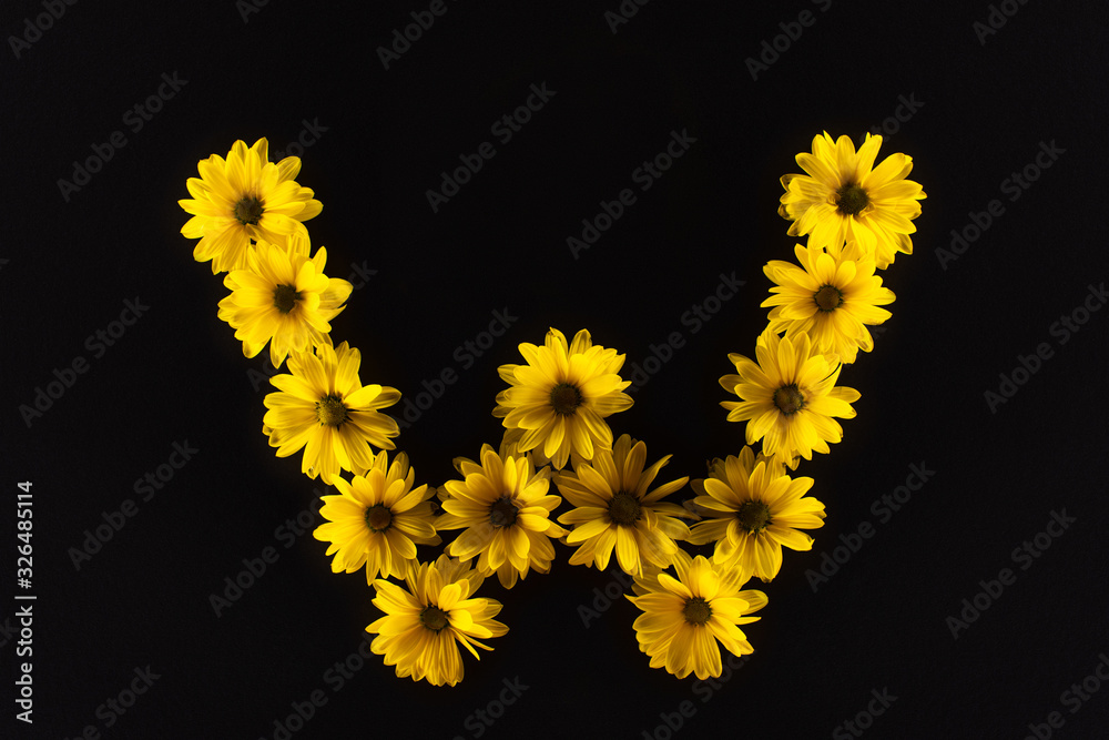 top view of yellow daisies arranged in letter W isolated on black top view of yellow daisies arranged in letter W isolated on black