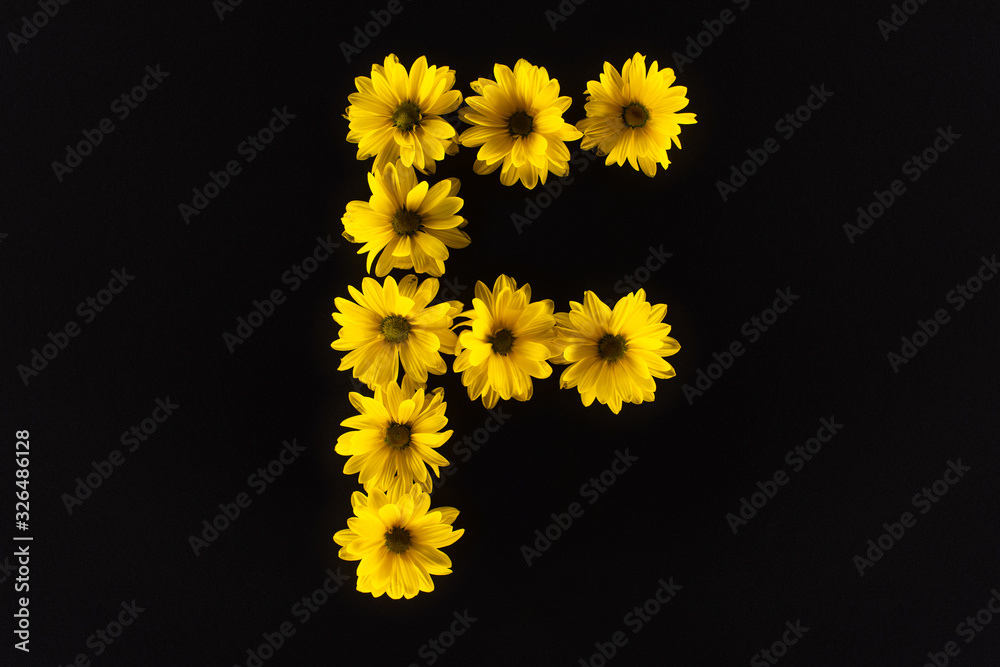 top view of yellow daisies arranged in letter F isolated on black