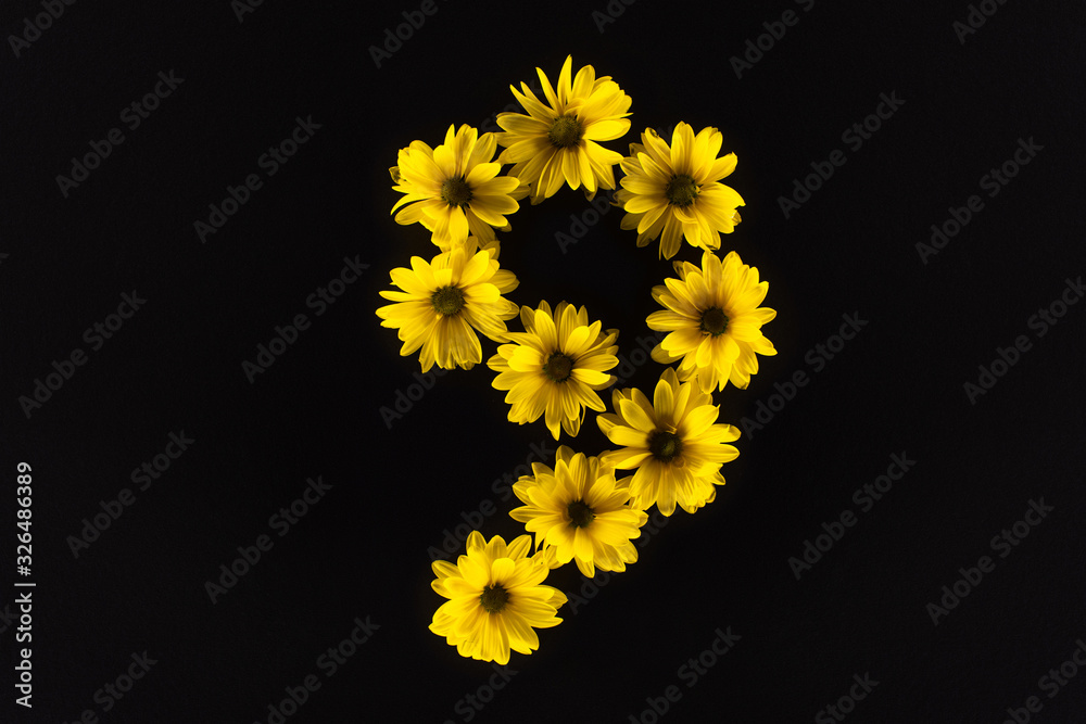 top view of yellow daisies arranged in number 9 isolated on black top view of yellow daisies arranged in number 9 isolated on black