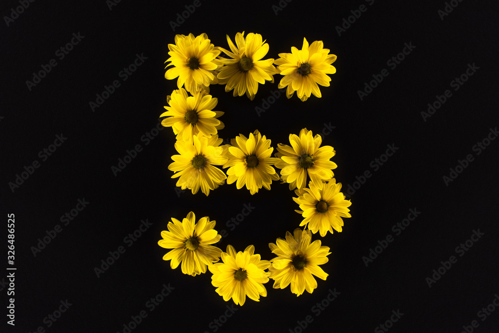 top view of yellow daisies arranged in number 5 isolated on black