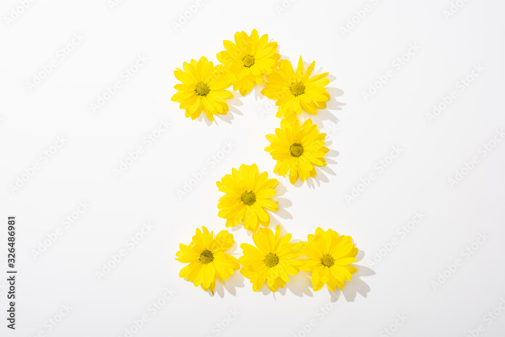 top view of yellow daisies arranged in number 2 on white background top view of yellow daisies arranged in number 2 on white background
