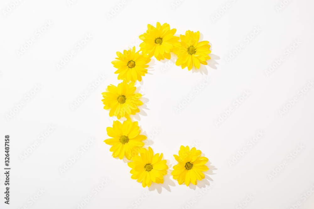 top view of yellow daisies arranged in letter C on white background top view of yellow daisies arranged in letter C on white background