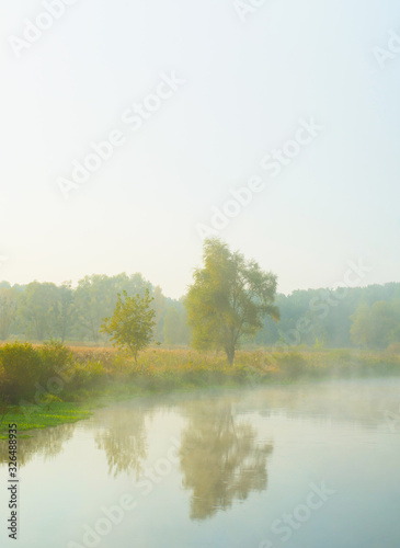 Morning mist and trees by the river