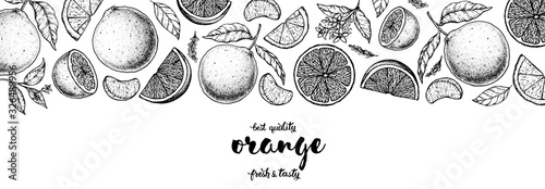 Orange hand drawn vector illustration. Orange sketch for design. Black and white style. Citrus orange pattern illustration. Orange packaging design.