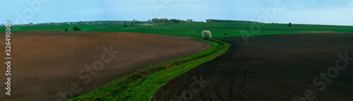 Canvas Print Panorama of spring time field with soil on sides and green line of areative channel with flowering tree