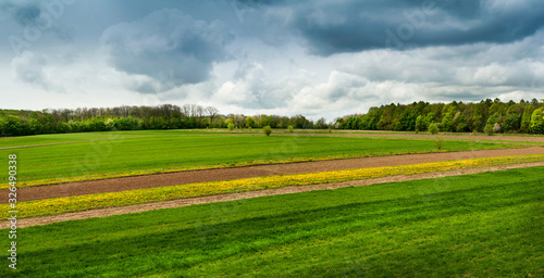 Small field lines and meadows with early spring dandelions horizon through dark clouds.
