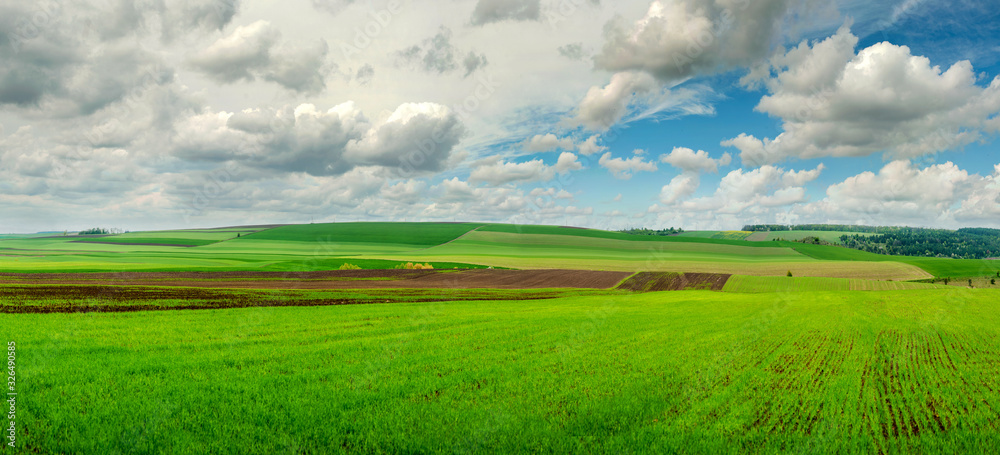 Field of green grass and perfect cloudly sky Field of green grass and perfect cloudly sky