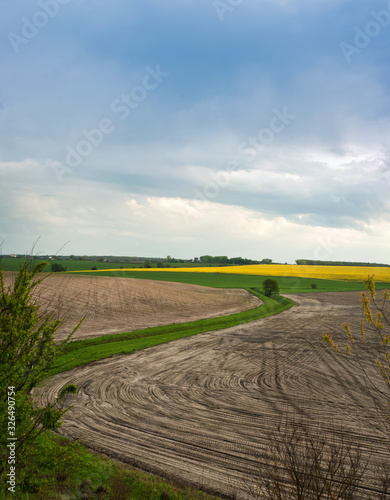 agriculture field with curve line of aeration channel and lonely tree at earl...