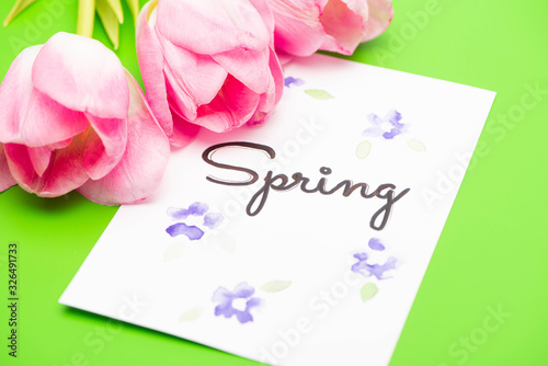 Close up of pink tulips and card with spring lettering on green background
