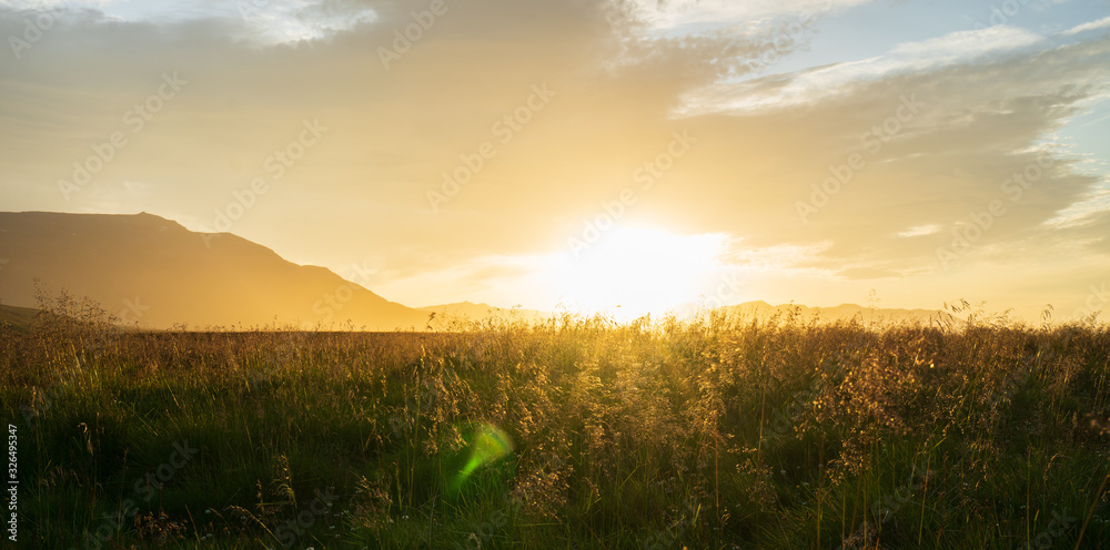 Obraz premium beautiful sunset in iceland, sun setting behing grass