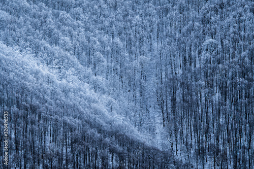 Fototapeta Naklejka Na Ścianę i Meble -  Stunning mountain landscape. Bieszczady Mountains. Poland.