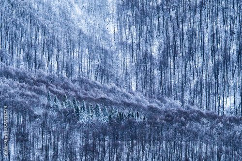 Fototapeta Naklejka Na Ścianę i Meble -  Stunning mountain landscape. Bieszczady Mountains. Poland.