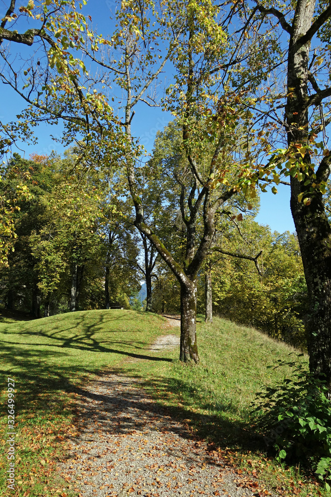 Fototapeta premium Füssen Stadtpark Baumgarten