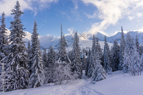 Fototapeta Naklejka Na Ścianę i Meble -  Great mountain peaks in the light of the setting sun. Gasienicowa Valley. Tatry.