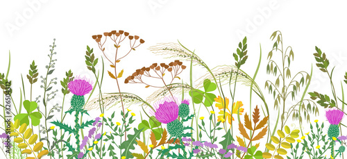 Seamless Border with Autumn Meadow Plants and Wildflowers
