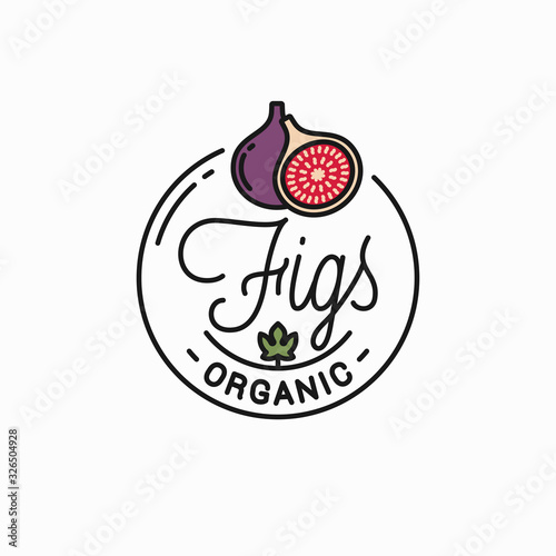 Figs fruit logo. Round linear logo of fig slice
