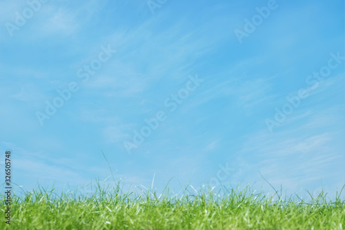 Spring grass with cloudy sky