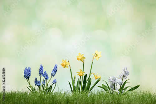 Spring flowers in grass on green defocused background © Vaceslav Romanov