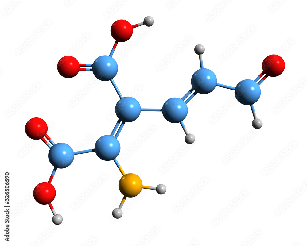 3D image of 2-Amino-3-carboxymuconic semialdehyde skeletal formula - molecular chemical structure of intermediate in the metabolism of tryptophan isolated on white background 3D image of 2-Amino-3-carboxymuconic semialdehyde skeletal formula - molecular chemical structure of intermediate in the metabolism of tryptophan isolated on white background