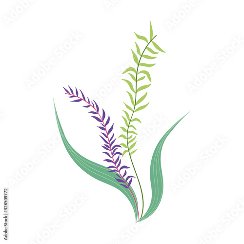 foliage greenery vegetation plants leaves nature icon design