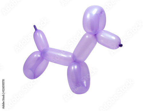 violet balloon model of dog isolated on the white