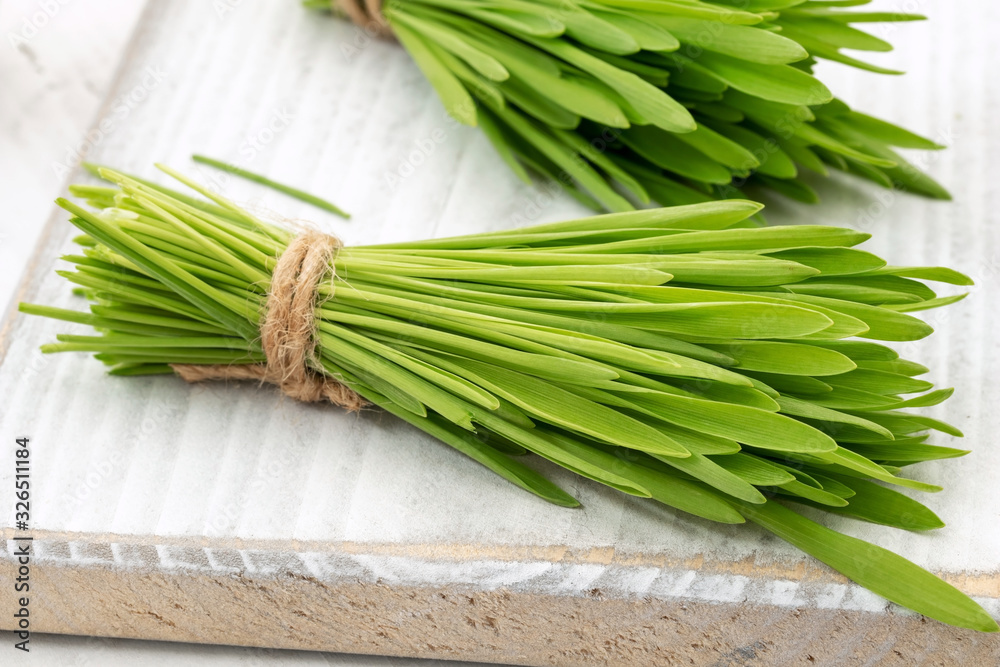 Fresh barley grass on a white background Fresh barley grass on a white background