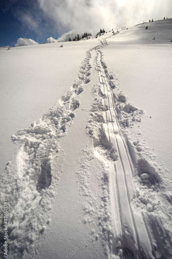 Traces of tourists on snowshoes. Traces of tourists on snowshoes.