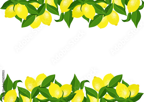 Lemon template frame border with citrus fruits branches
