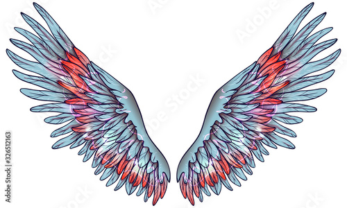 Beautiful magic shiny gradient light blue wings with pibk feathers, vector photo