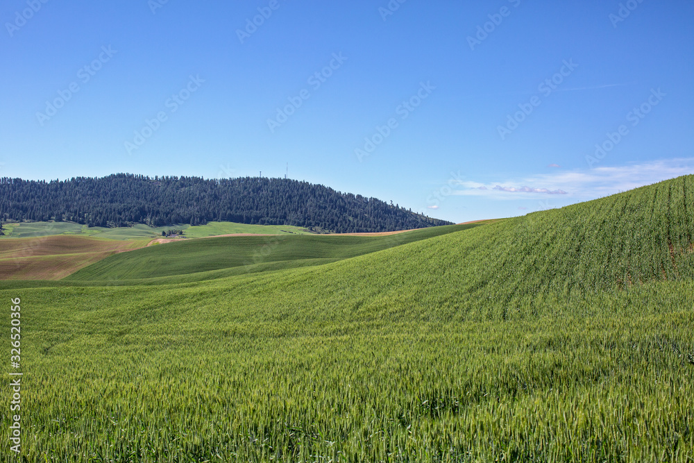 Kamiak Butte Kamiak Butte