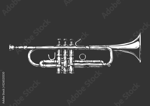 illustration of trumpet