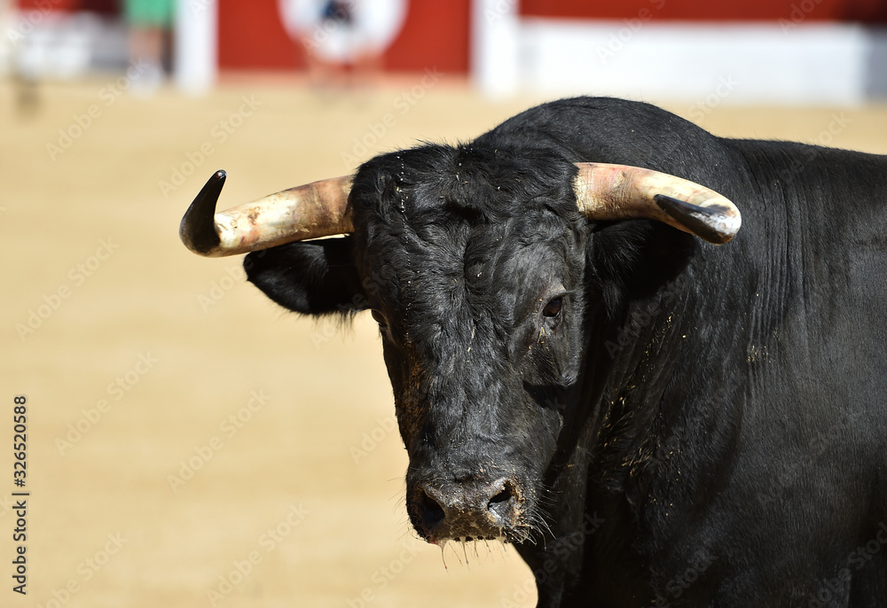 toro poderoso en españa toro poderoso en españa