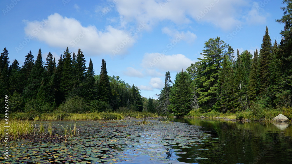 lake in algonquin national park
