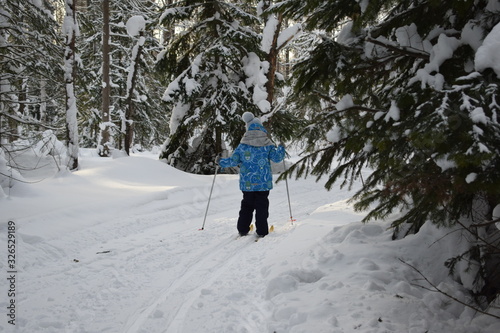 nordic walking in the snow