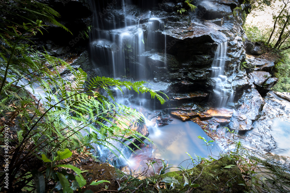 Fototapeta premium Waterfall in the forest, Blue Mountains, Australia
