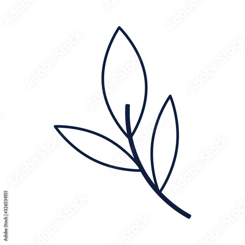 ecology branch with leafs isolated icon