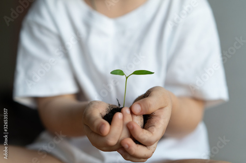 hands holding a green young plant. world environment day and children's hands. ecology concept