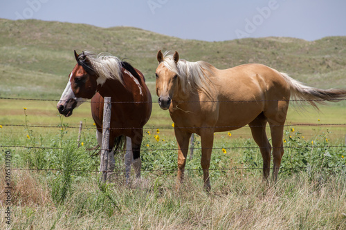 Ranch horses in Nebraska Sandhills