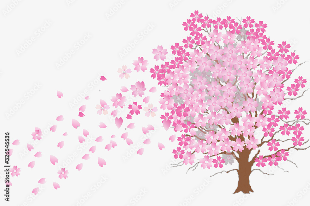 Fototapeta premium 桜吹雪