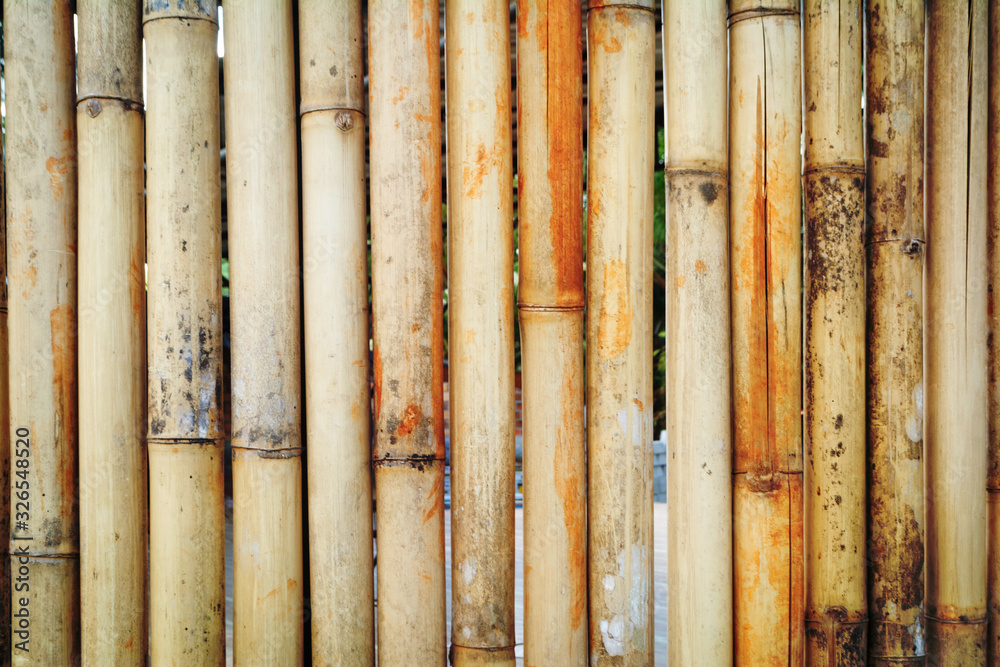bamboo fence texture background for design bamboo fence texture background for design