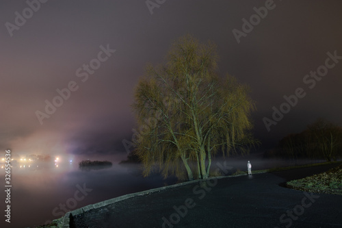 Night autumn landscape with a tree on a background of fog near the river