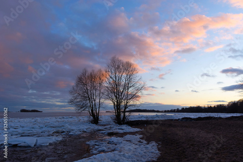 Photography Spring landscape with trees and ice hummocks on the background of the river and