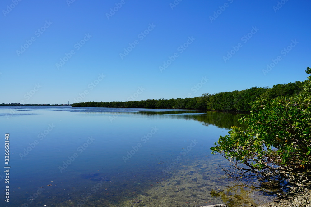 Florida palm harbor beach landscape